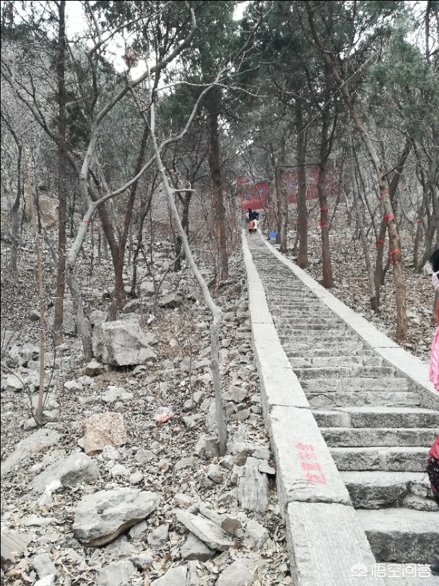 济南市森林公园怎么样