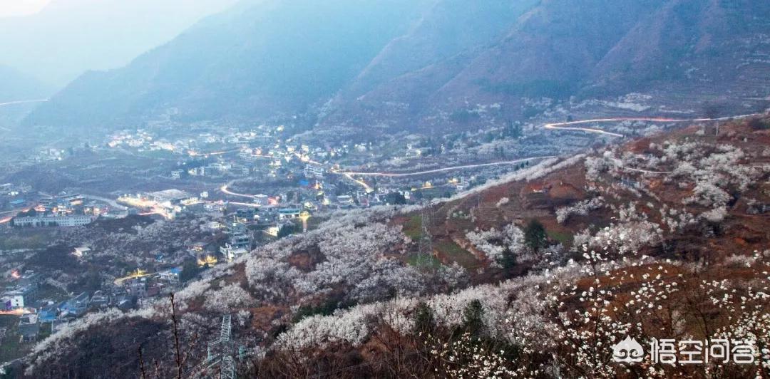 樱花的图片樱花的图片大全 最美 樱花的图片樱花的图片大全 最美