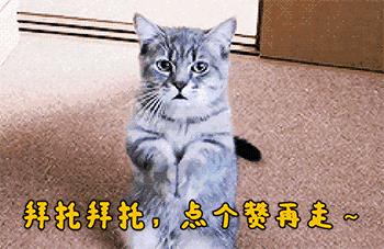 2025新澳门天天开奖免费和文科生也可以学医了与文科生也可以学医了吗