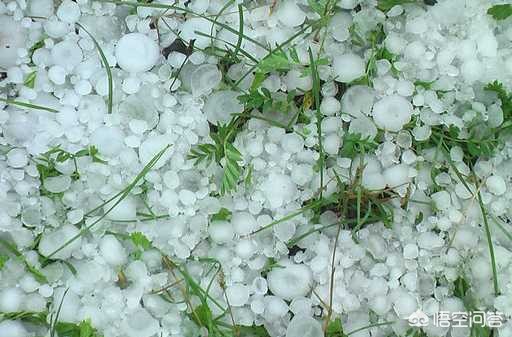 [北京山区有小冰雹]北京4月飘雪，气象局说是霰粒，霰粒和冰雹有什么区别？