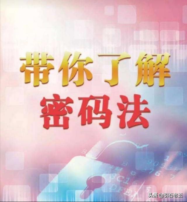 海外生活类视频平台，海外生活类视频平台有哪些
