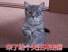 [未牵绳大狗扑1岁娃]如何评价男童捡球被牵绳狗咬伤？
