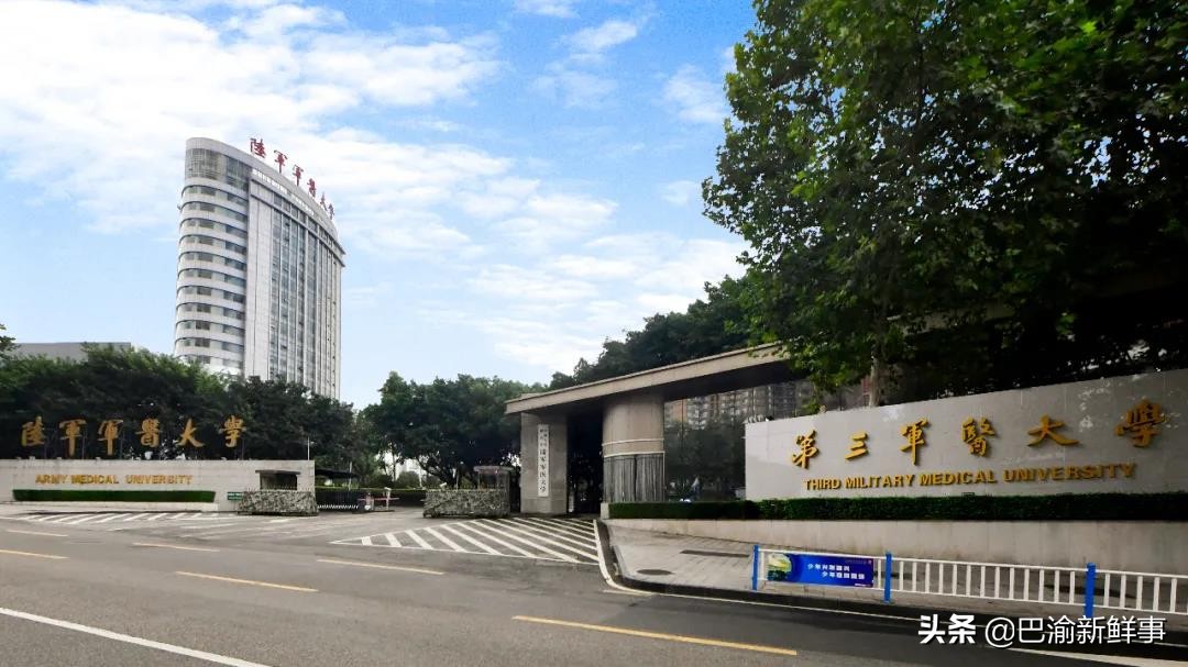 重庆第三军医大学 （重庆第三军医大学2025录取分数线）