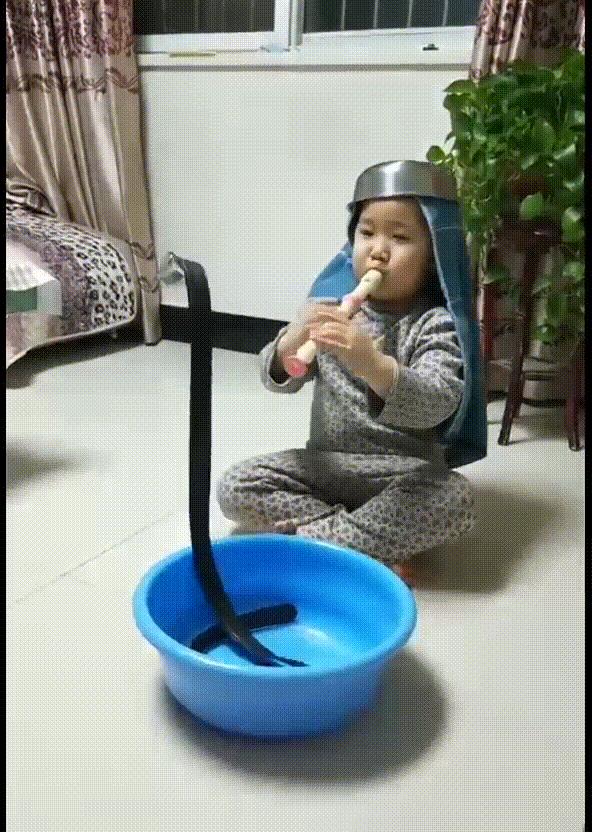 头片（图片的格式有哪几种呀？）