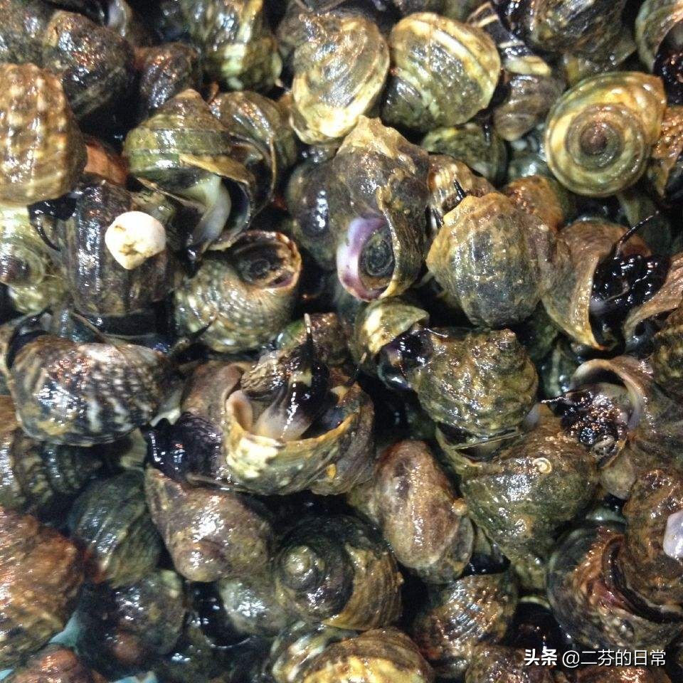 大连市最近吃什么