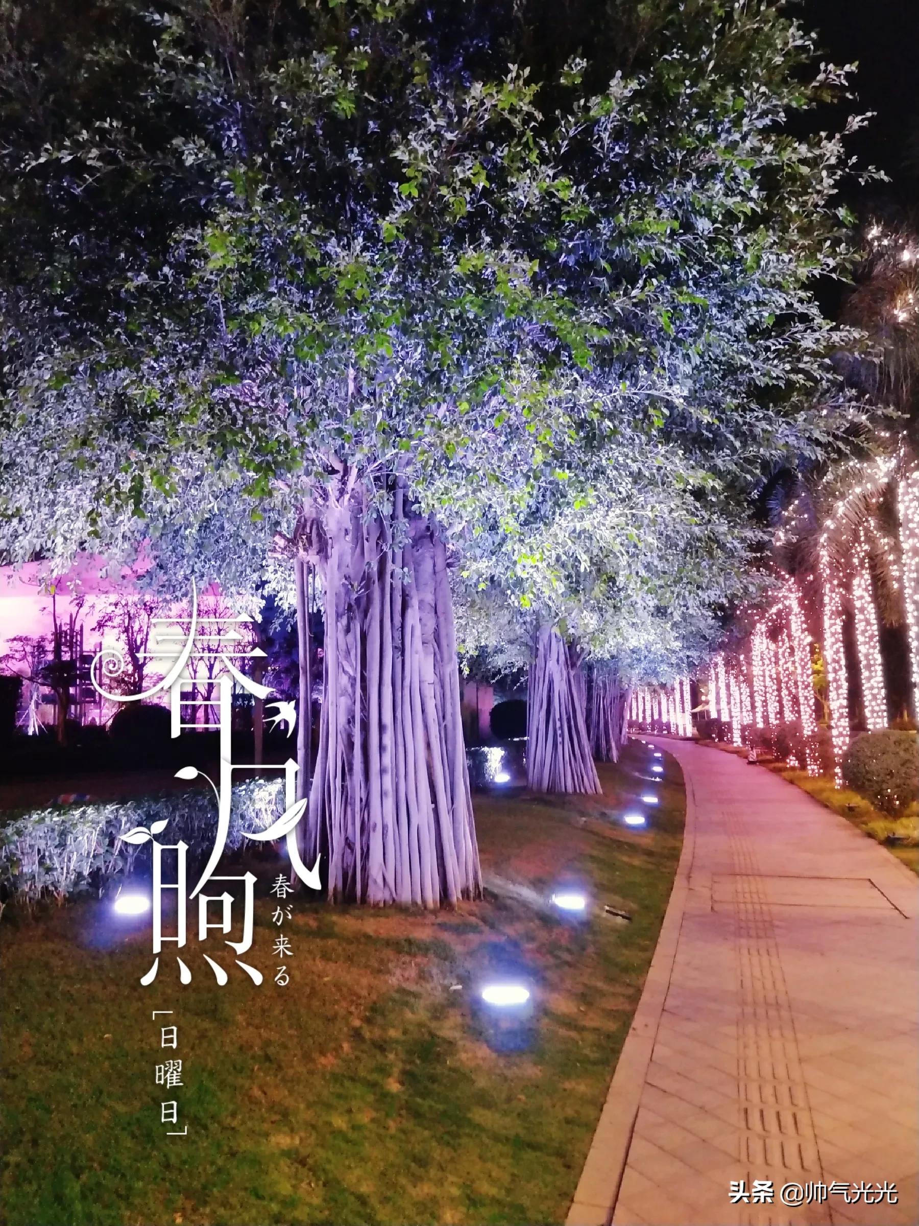 辽宁沈阳城镇医疗保险网上怎么交？