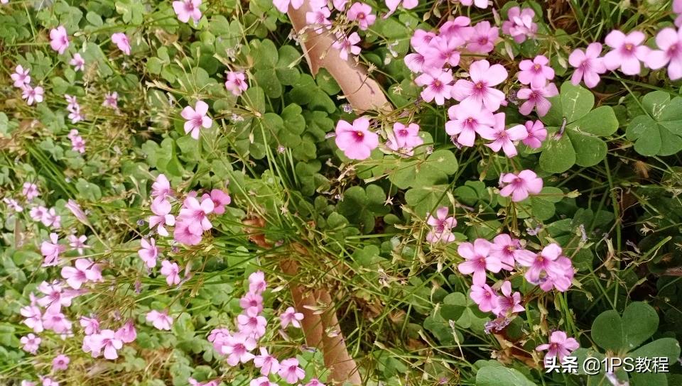 [五彩斑斓的黑色]别人发五彩斑斓的黑怎么回？