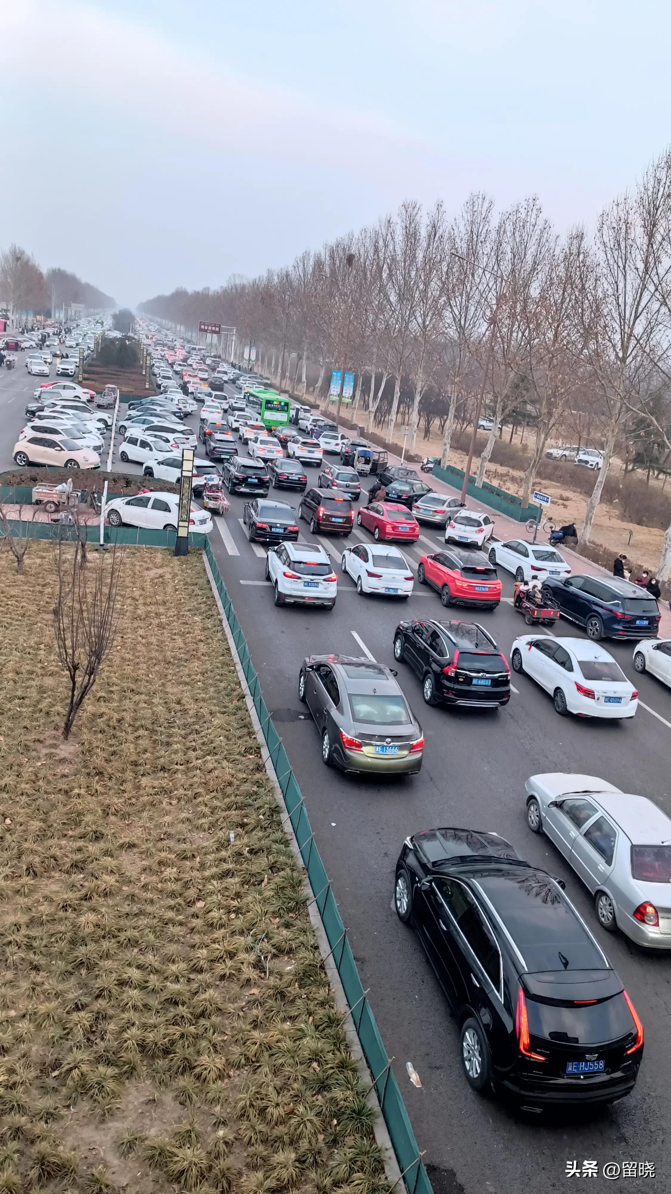 2023老头乐能合法上路吗？：老头乐排队上高速