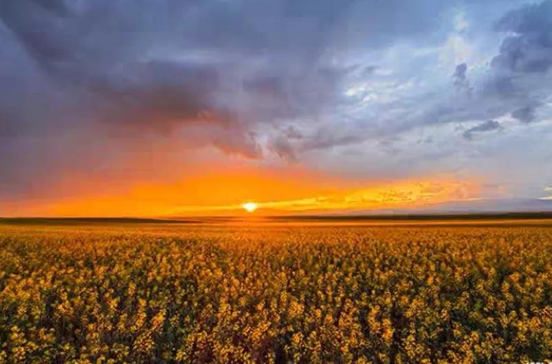 [13pro价格]#为什么很多人愿意花8000元买iphone13 pro？