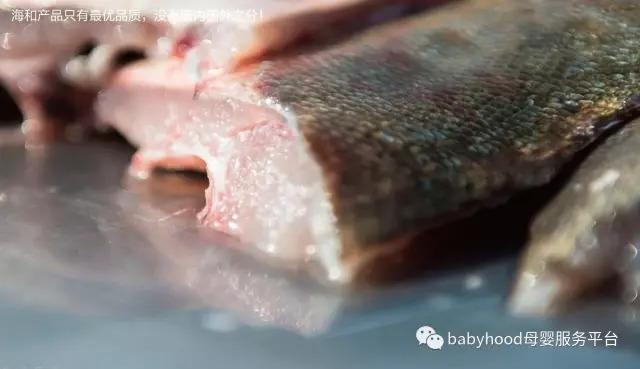 深海鳕鱼的功效与作用 2026年深海鳕鱼的功效与作用及禁忌