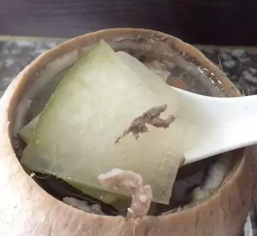 花胶可以跟竹蔗一起煮汤吗 2026年花胶竹荪煲汤的做法大全 花胶可以跟竹蔗一起煮汤吗 2026年花胶竹荪煲汤的做法大全