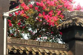 “红杏出墙”出的谁的墙？“五花八门”又是哪八门？有意思图片