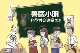 如何让汪不忘记铲屎官？照顾好老年犬，避免患老年痴呆症图片