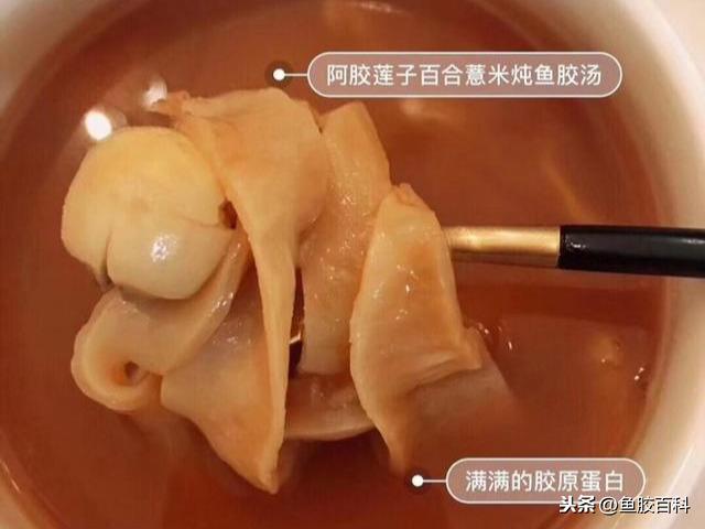 海马花胶汤 增高 海马花胶汤功效