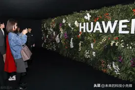 华为P30推送EMUI11系统，安卓版本不变，或为鸿蒙做铺垫图片