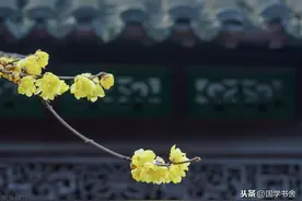 《道德经》：以无言之态顺其自然，才是智者的状态图片
