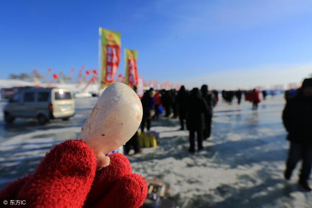 便宜花胶功效 2026年花胶便宜和贵的有什么区别