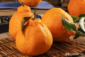 懂行人买丑橘，只看这3处地方，丑橘到手汁多肉甜，涨知识了图片