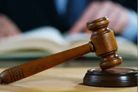 顺义老汉野外设粘网捕捉珍稀鸟类被公益人士抓现行，判了图片