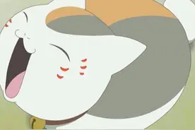 【金龟子讲睡前故事】想当大人的小花猫图片