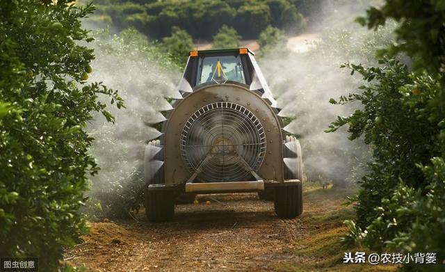 作物缺铁危害大！缺铁的原因、症状及铁肥的作用、使用方法要知道