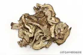 升举阳气之能臣——升麻图片