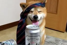 啤酒在日本非常受欢迎吗？图片