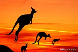 澳大利亚，从何而来？图片