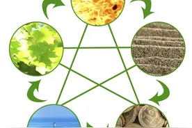 人身三宝——精、气、神图片