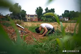 农村俗语：“坟后草疏坟前茂，兄弟不和是现报”，是真的吗？图片
