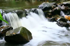 昌化江发源于五指山，巧遇某茶拍广告，好山、好水、好茶、美女图片