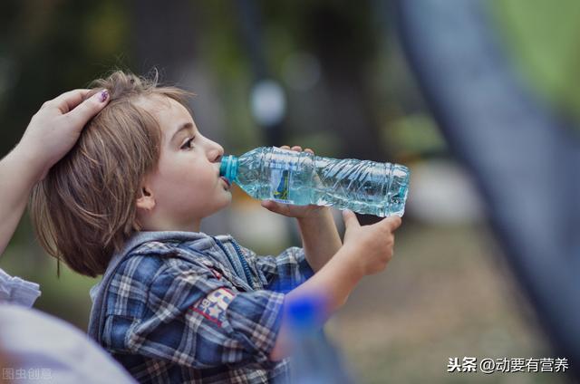 科普文运动与各类营养