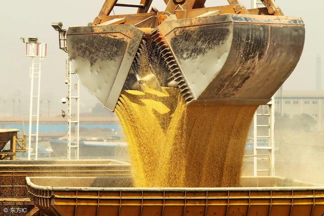 豆粕价格居高不下将推动低蛋白日粮研发？