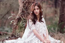 小说：未婚妻上了两年淑女课程，成效显著，可他验收时发现她爬树图片