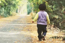 龙应台的《目送》：父女母子之情 为何最后只剩背影？图片