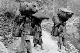灌州故事丨背二哥：生死茶马古道图片