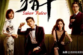 13部张翰主演的电视剧，你看过哪几部？哪一部最好看？图片