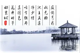 早教古诗20首，宝宝每天念一念，说话更流利图片