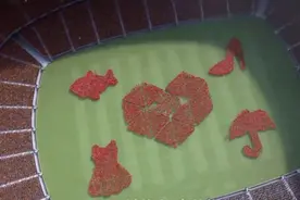占据市场份额95%的淘宝，是如何被拼多多拿下一血的？图片