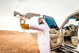 “一带一路”国别介绍——迪拜图片