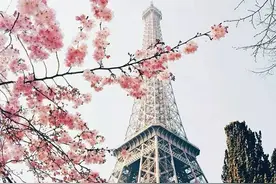 音乐推荐|历历万乡总故乡图片