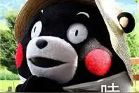 旅游 | 好消息！张家界武陵源核心景区执行淡季票价图片