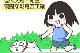 一招！教你把狗狗的项圈戴得最舒适图片