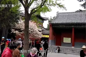 敬神祭祖时烧香要“烧三根”，你知道是为什么吗古人真讲究！视频封面