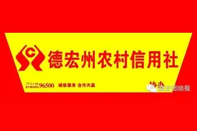 瑞丽农信社绿色通道解民忧图片