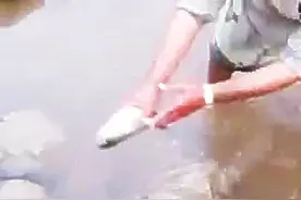 不大一点小水坑，竟能抓上来这么多鱼，真让人羡慕图片