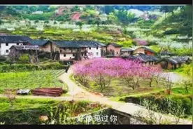 任妙音的一首《梦中的你》真想投入梦中视频封面