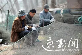 骆马湖今日起全面封湖禁渔，以后你吃到的可能是“假鱼”！图片