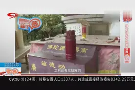 赚大钱的方法都在刑法里视频封面