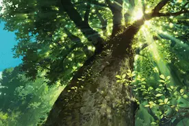 「发现上饶」一花一世界，一树一上饶图片